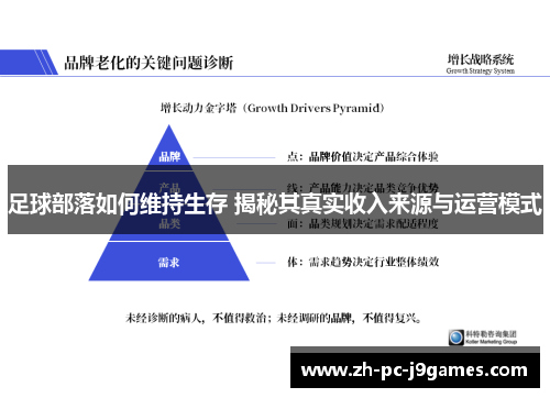 足球部落如何维持生存 揭秘其真实收入来源与运营模式