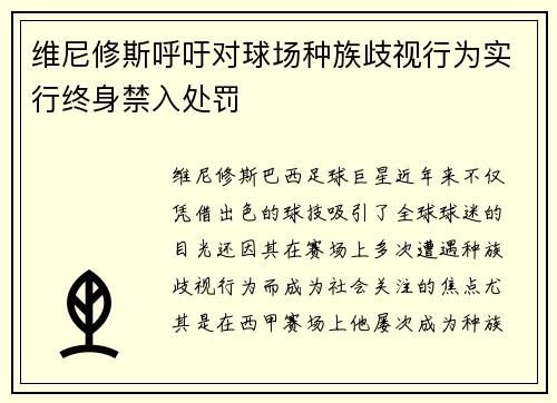维尼修斯呼吁对球场种族歧视行为实行终身禁入处罚 维尼修斯呼吁对球场种族歧视行为实行终身禁入处罚